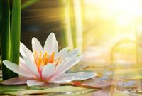 华融信托2.7亿产品再临兑付风险 背靠大树也难避免